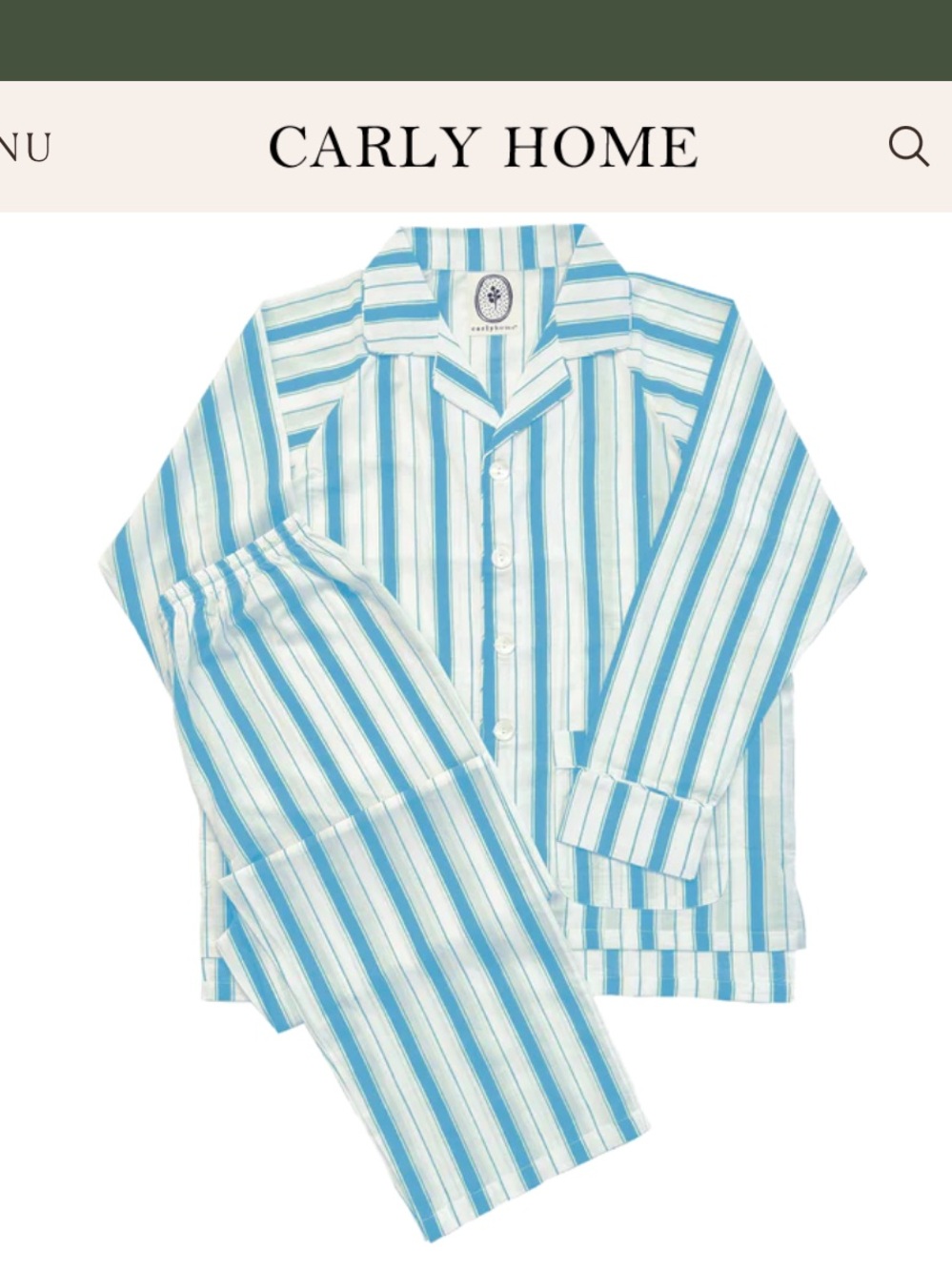Striped Pajama Set - Blue / NWT